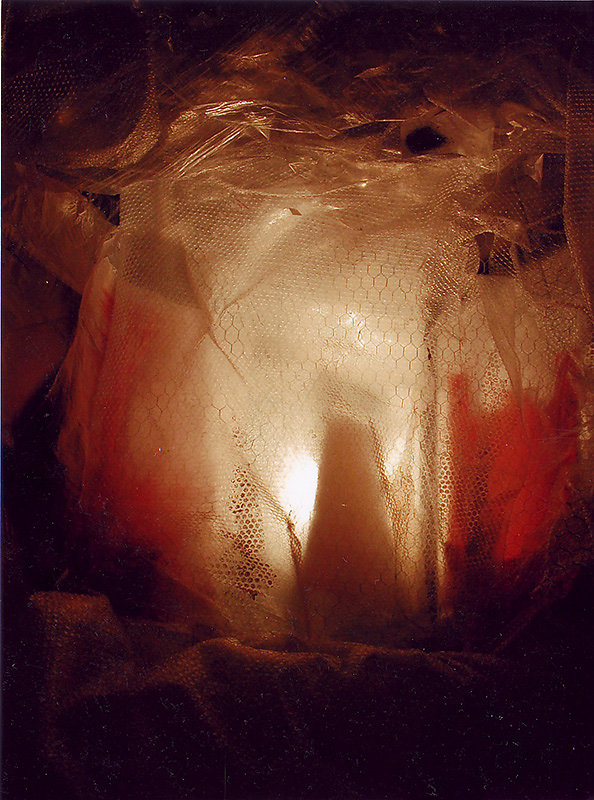 cabane-2.jpg
