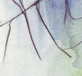arbre-carre.jpg
