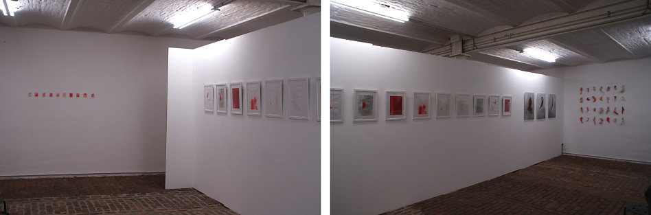 serie-expo.jpg