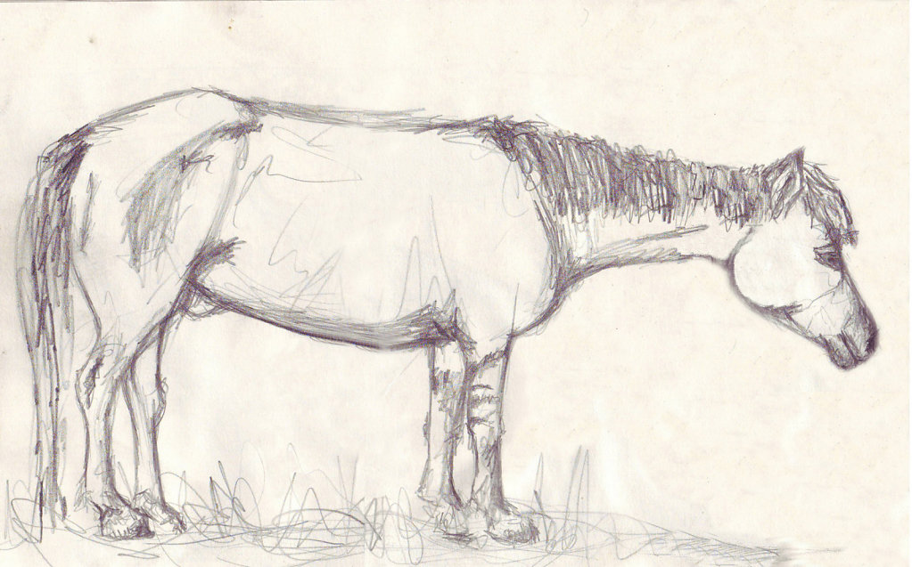 cheval.jpg